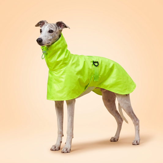 Featherlight Hooded Dog Rain Cape