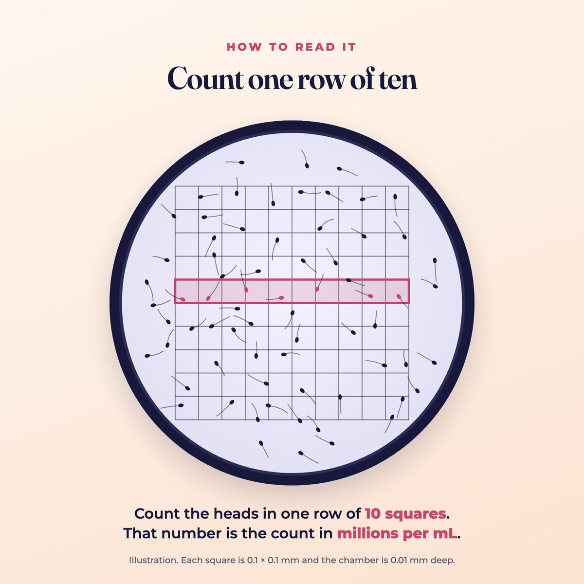 How to read Kiba Count: count the heads in one row of 10 squares for millions per mL