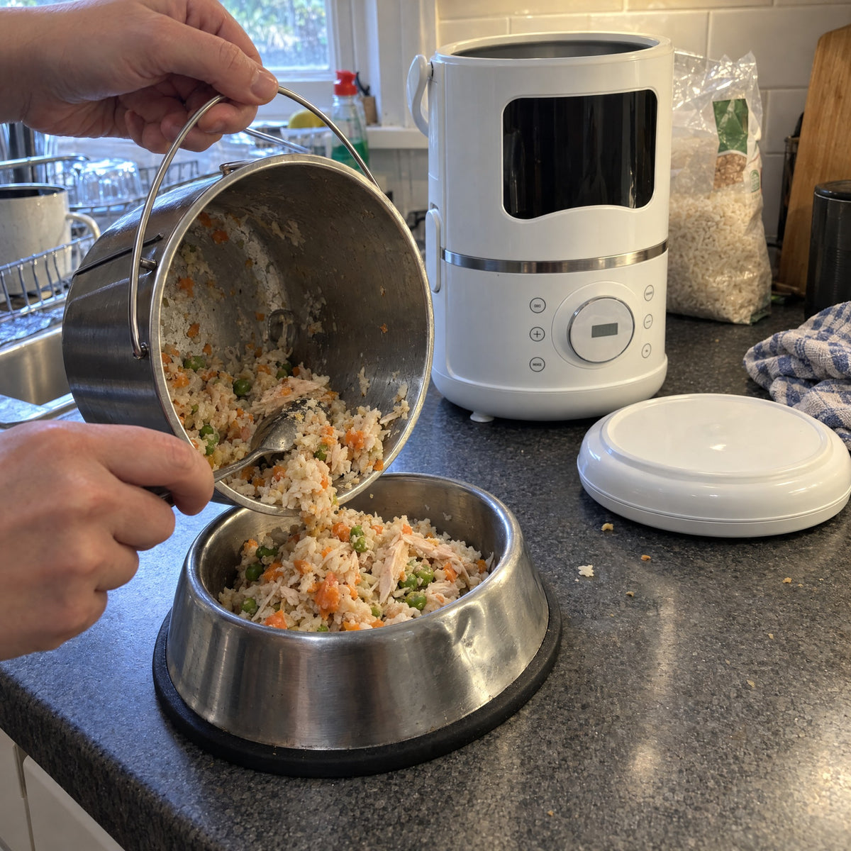 Fresh food being served from the stainless steel bucket into a dog bowl