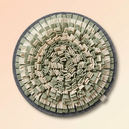 Snuffle Mat Enrichment Feeder