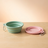 Collapsible Silicone Travel Bowls (2-Pack)