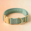 Adjustable Reflective Comfort Collar detail