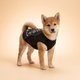 GlowGuard LED Dog Safety Vest