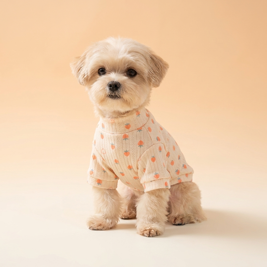 Cloud-Knit Turtleneck Pet Sweater