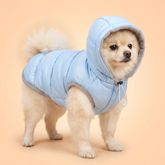 Sky Puffer Hooded Dog Coat