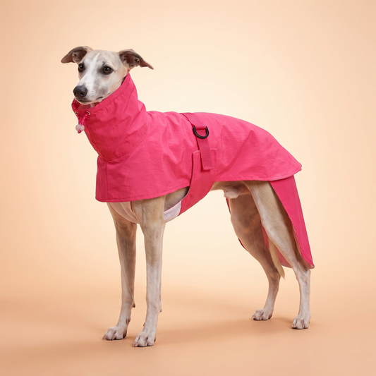 Featherlight Hooded Dog Rain Cape