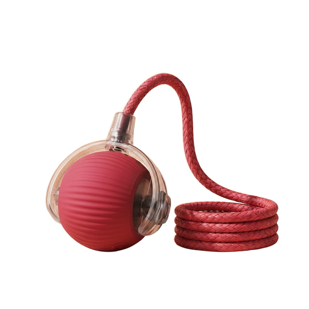 Kiba interactive toy