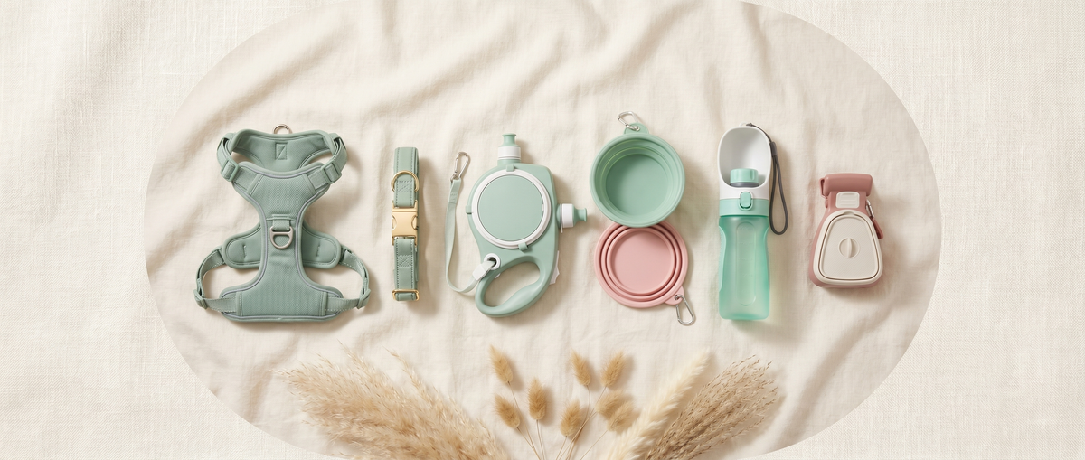 Kiba Club walk and travel kit flat lay